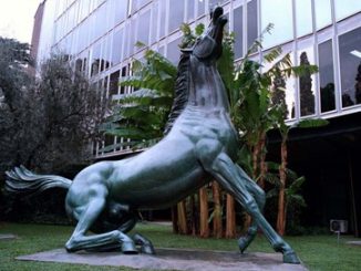 Cavallo Messina, RAI