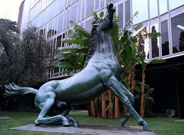 Cavallo Messina, RAI